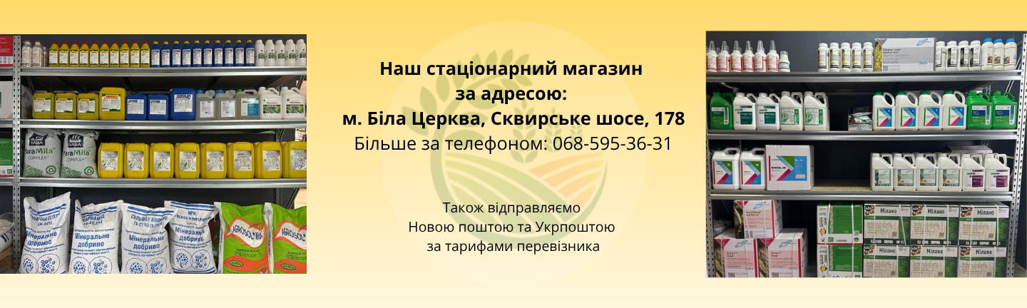 Банер низ поле