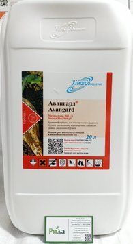 Гербицид Авангард 1815494158 фото
